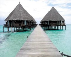 Отель VELIDHU ISLAND RESORT 4* (Мальдивы, Мальдивы)